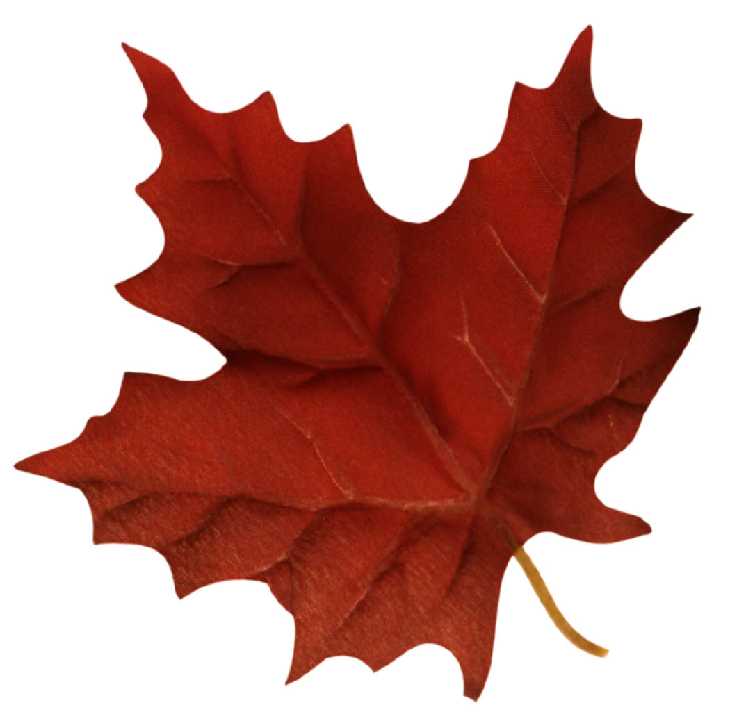 Canada+maple+leaf