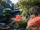 Kyoto