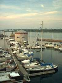Summer 2004, Kingston